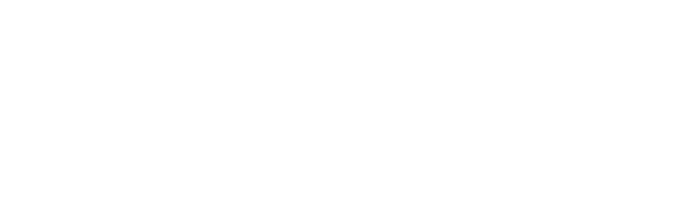 Dataraise
